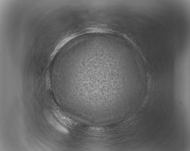 X0000085811215200703301516