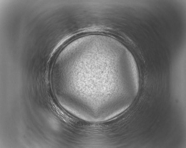 X0000085811216200703301516