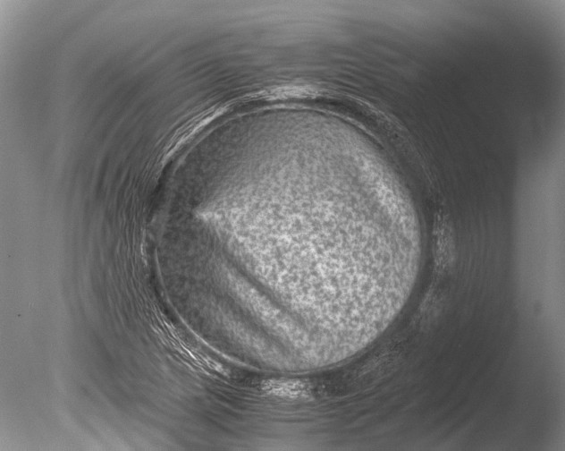 X0000085811217200703301516