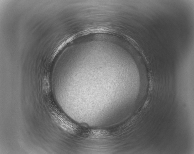 X0000085811218200703301516