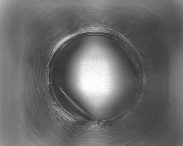 X0000085811222200703301516