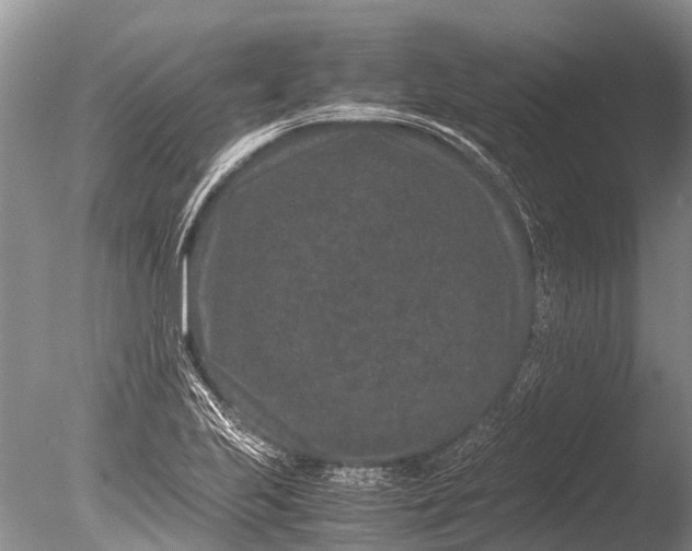 X0000085811223200703301516