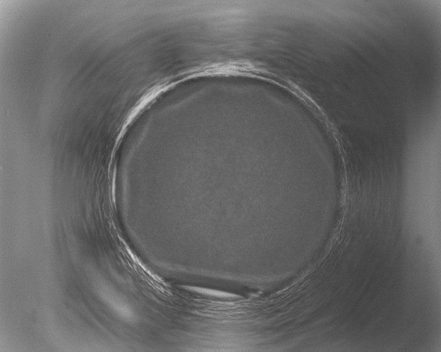 X0000085811224200703301516