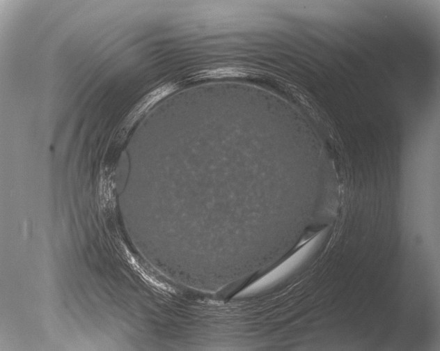 X0000085811225200703301516