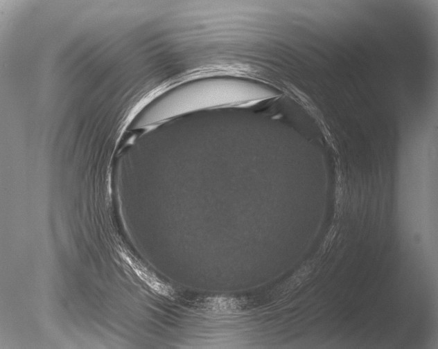 X0000085811226200703301516