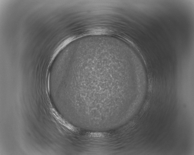 X0000085811227200703301516