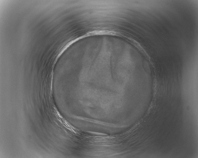 X0000085811228200703301516