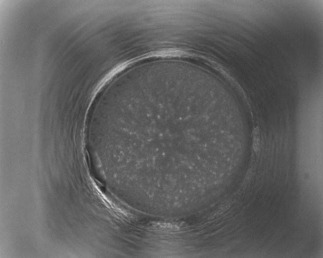 X0000085811229200703301516