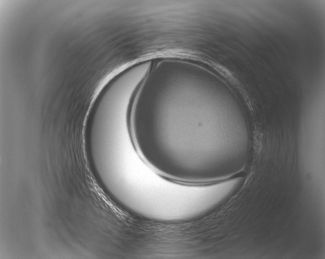 X0000085811230200703301516