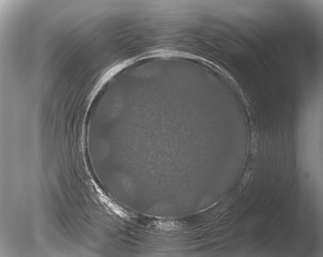 X0000085811231200703301516