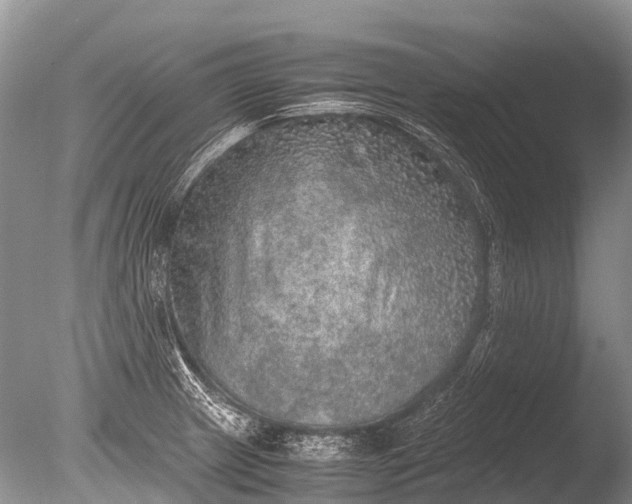 X0000085811233200703301516