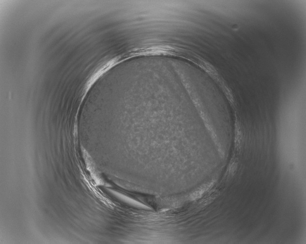 X0000085811234200703301516