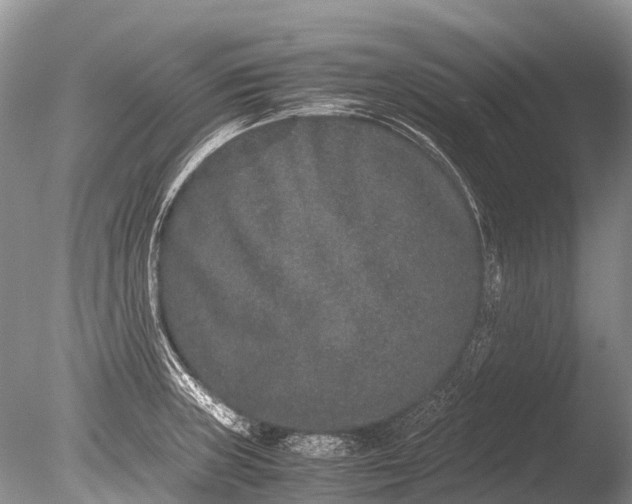 X0000085811235200703301516