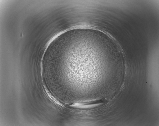 X0000085811238200703301516