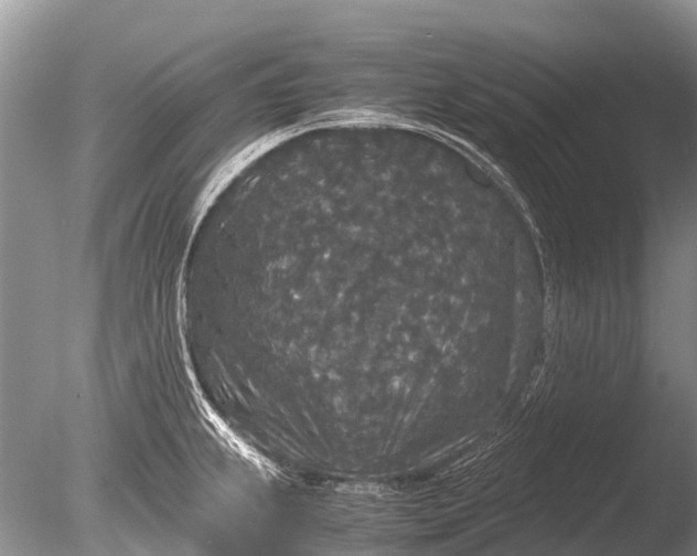 X0000085811239200703301516