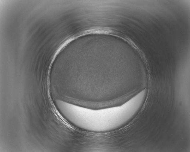 X0000085811240200703301516