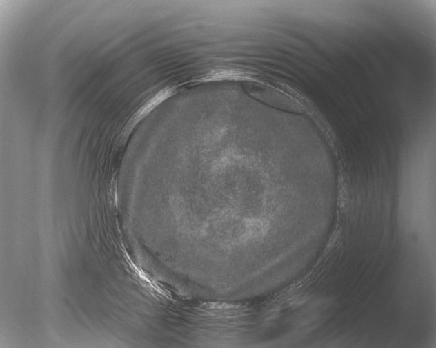 X0000085811241200703301516