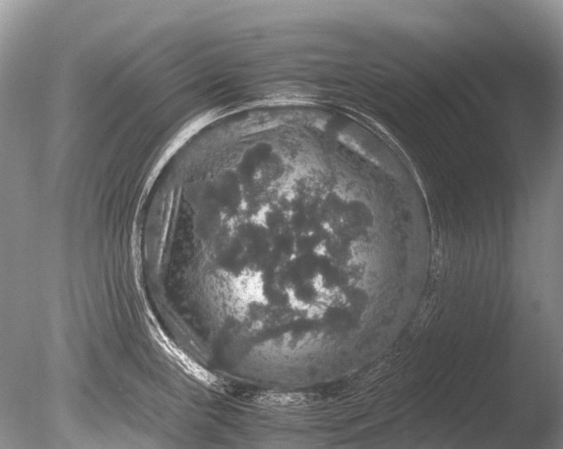 X0000085811243200703301517