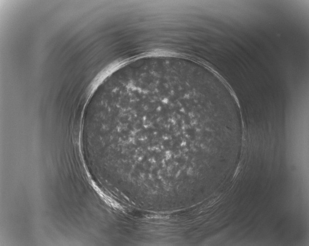 X0000085811245200703301517