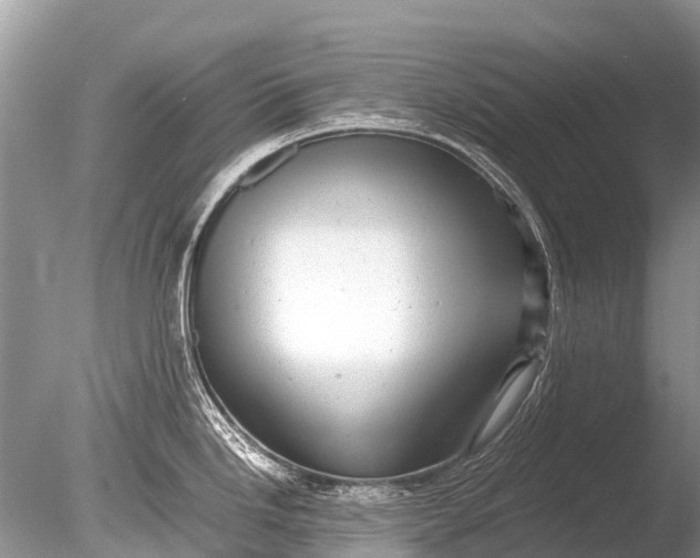 X0000085811246200703301517