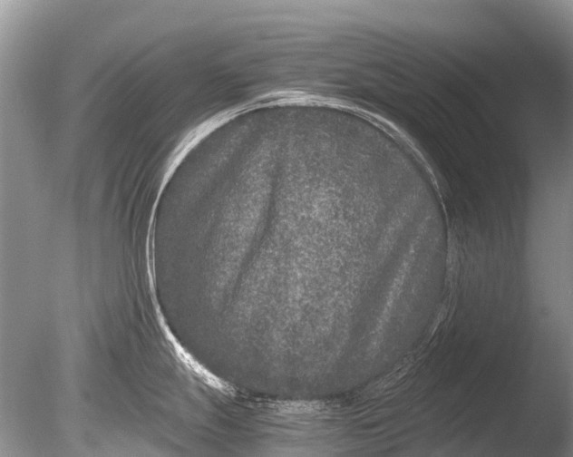 X0000085811247200703301517