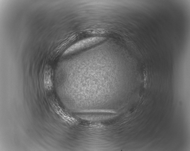 X0000085811250200703301516