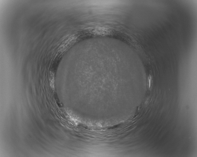 X0000085811251200703301516