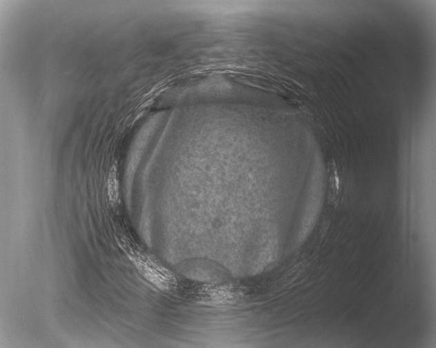 X0000085811252200703301516