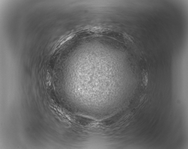 X0000085811253200703301516