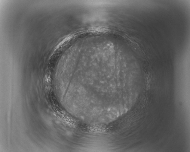 X0000085811254200703301516