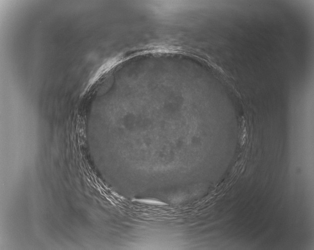 X0000085811255200703301516