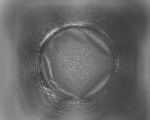 X0000085811256200703301516