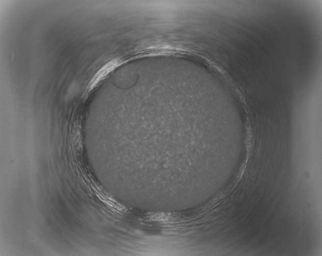 X0000085811259200703301516