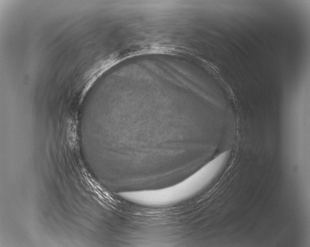 X0000085811260200703301516