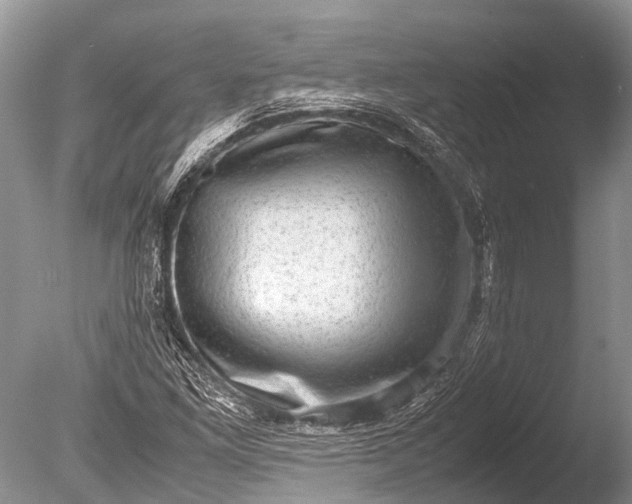 X0000085811261200703301516