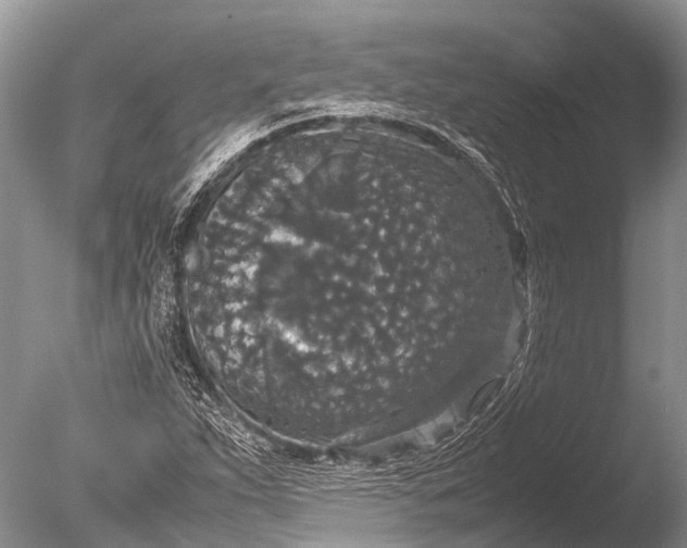 X0000085811263200703301516