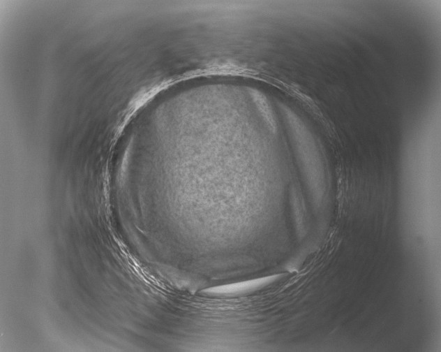 X0000085811264200703301516