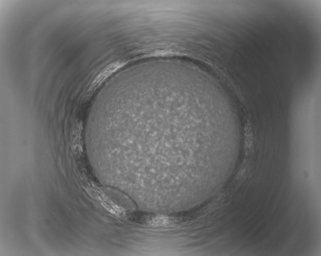 X0000085811265200703301515