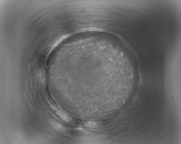 X0000085811266200703301515