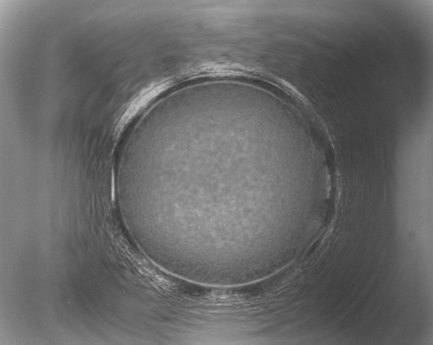 X0000085811269200703301515