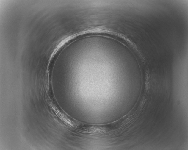 X0000085811270200703301515