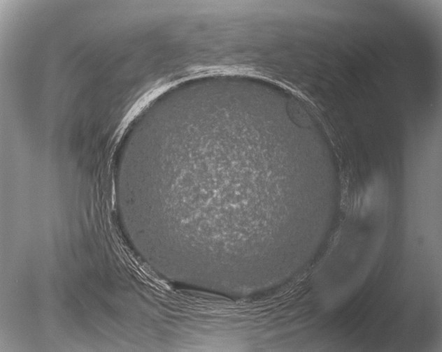 X0000085811271200703301515