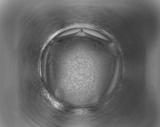 X0000085811272200703301515