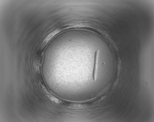 X0000085811273200703301515