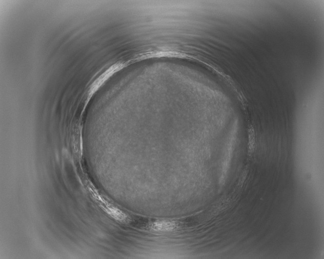 X0000085811274200703301515