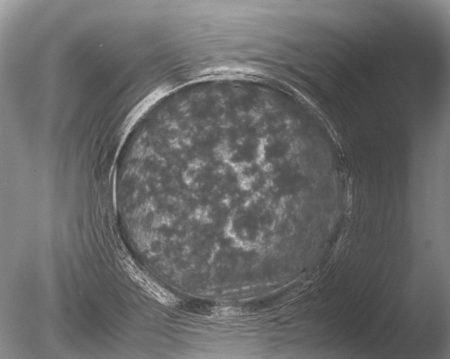 X0000085811275200703301515