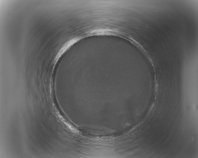 X0000085811277200703301515