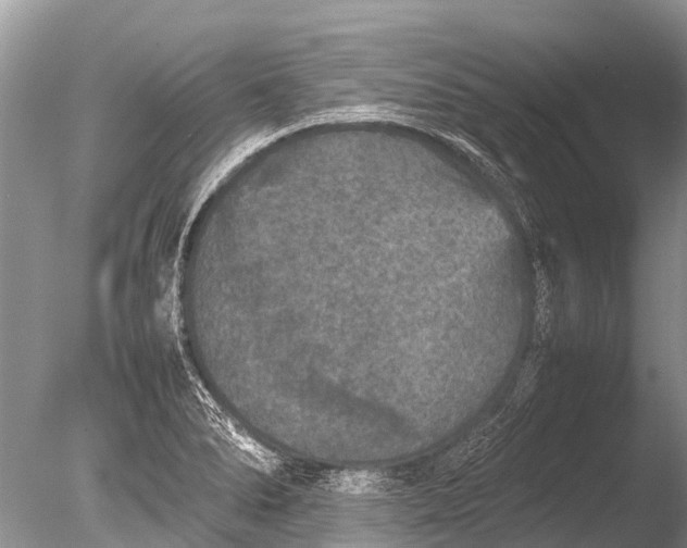 X0000085811278200703301515