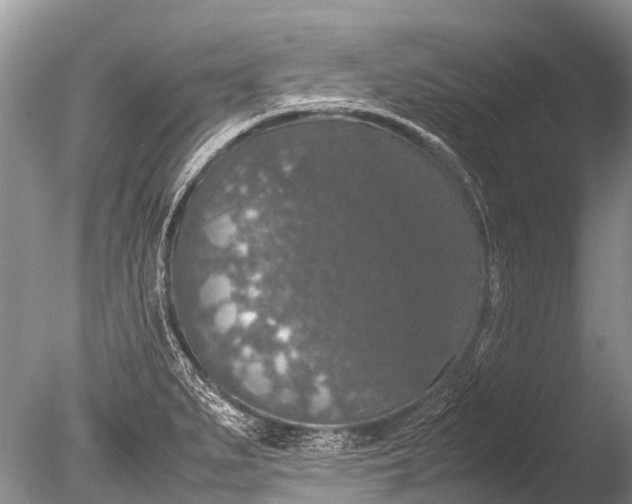 X0000085811279200703301515