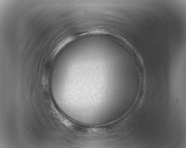 X0000085811281200703301515